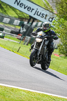 Advanced Group Silver_Grey Bikes